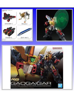 4573102633989 RG GAOGAIGAR 6000yen (fs)