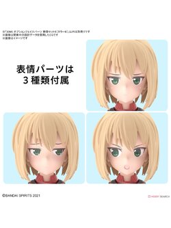 30MS OPTION FACE PARTS FACIAL EXPRESSION SET 5 [COLOR B] 4573102617590