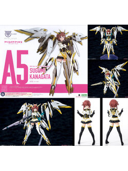 4934054021161 Sugumi Kanagata