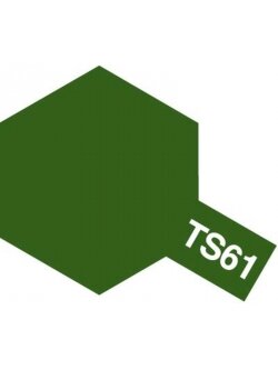 (เหลือ1ชิ้น) TS-61 nato green