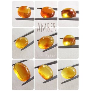 Amber (อำพัน)