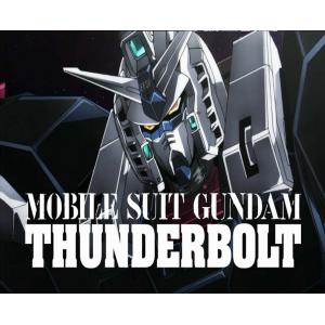 HG1/144 Gundam Thunderbolt)