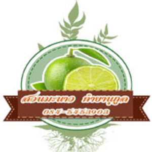 การปลูกมะนาว