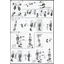 Bandai 4573102671714 HG 1/144 LIGHTNING BUSTER GUNDAM