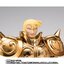 (เหลือ1ชิ้น ทักแชทก่อนโอน) 4573102612670 Jp LOT p-bandai scm ex taurus aldebaran -original color edition