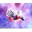 (เหลือ1) 4573102649188 s.H.Figuarts Shinkocchou Seihou Ultraman Dyna flash type New