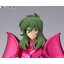 JP4573102629807 JP Saint Cloth Myth EX Andromeda Shun (New Bronze Cloth)
