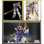 4573102633675 HG AMPLIFIED IMGN RYUJINMARU (fs)