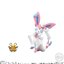 Preorderเข้า 12/2025-1/2026 งดสั่งแยกกับสินค้ารายการอื่นครับ Bandai 4570117923234 Pokemon Scale World Kalos Set