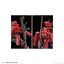4573102629517 HG 1/72 NYUREN