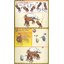 Bandai 4573102664044 POKEPLA ENTEI