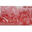 Bandai 4573102632050 [Event Limited] RG 1/144 Sinanju [Clear Color] Gundam plastic model