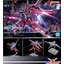 Bandai 4573102666925 HG 1/144 INFINITE JUSTICE GUNDAM TypeⅡ
