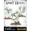 Warhammer 5011921177370 AoS nighthaunt: spirit hosts