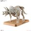 Bandai 4573102642639 Planosaurus Triceratops โมเดลประกอบ