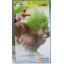 (เหลือ1ชิ้น ) 4573102581327 Ichiban Figure Super Saiyan Broly Full Power * Oversea Limited *