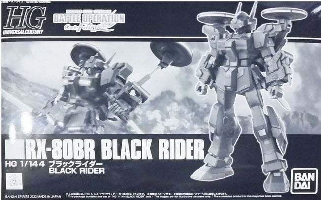 4573102621948 (p-bandai) hg black rider