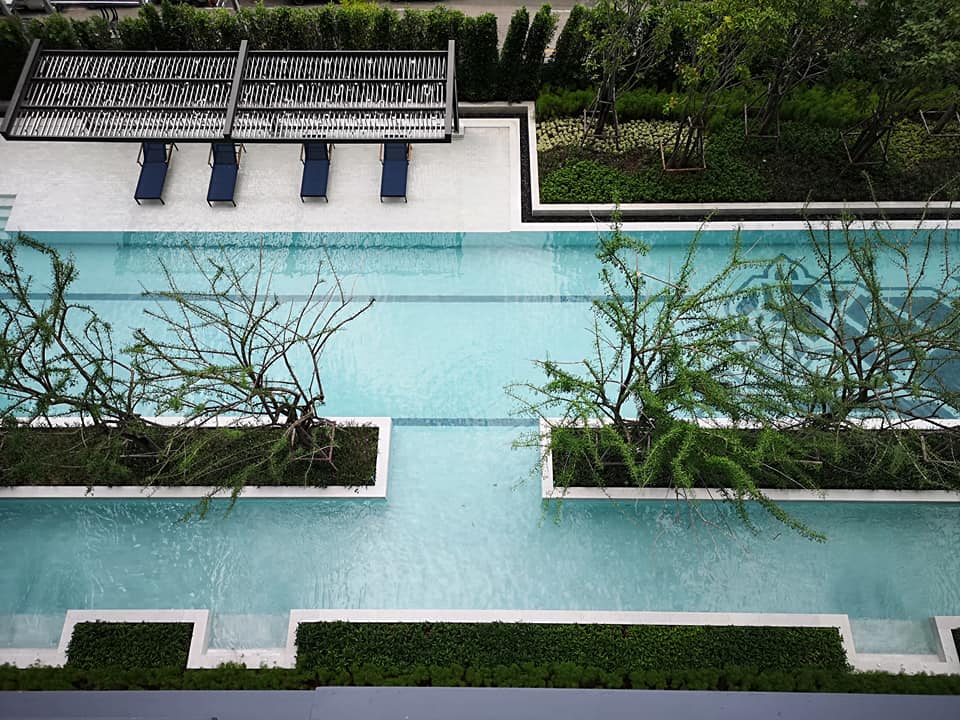 ปล่อยเช่าคอนโด IDEO Sukhumvit 93 (ไอดีโอ สุขุมวิท 93 ) - เฟอร์เครื่องใช้ไฟฟ้าครบครั้น - ใกล้ BTS บางจาก - 1ห้องนอน 1ห้องนั่งเล่น 1ห้องน้ำ วิวสระ