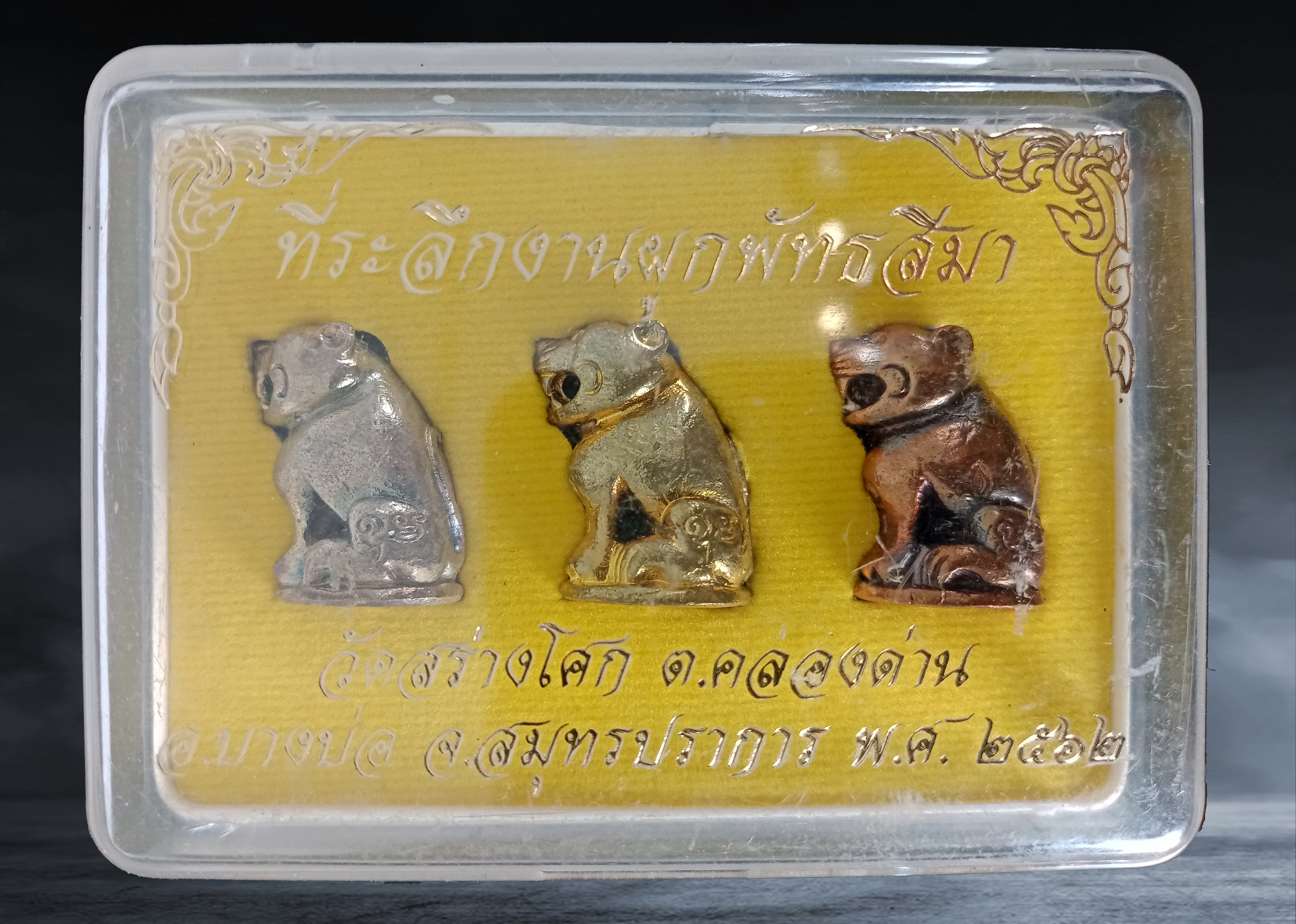 เสือชุดกรรมการ วัดสร่างโศกคลองด่าน จ.สมุทรปราการ ปี ๒๕๖๒