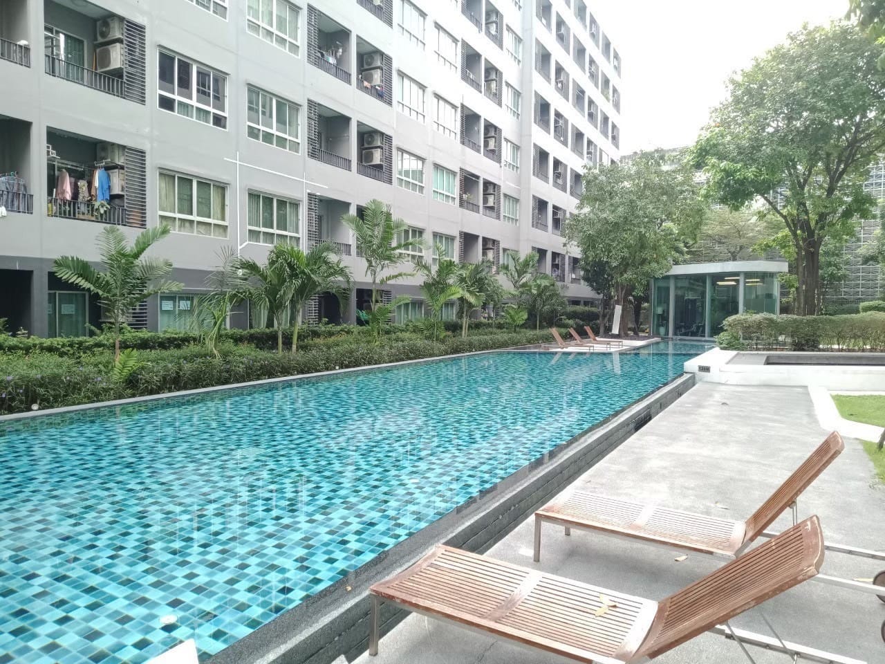 ให้เช่าห้องแบบ Studio 1ห้องน้ำ โซนพื้นที่ BTS ปุณณวิถี คอนโด Elio Sukhumvit 64 : เอลลิโอ สุขุมวิท 64 ขนาดห้อง 22 ตรม. ชั้น 6 ตึก B