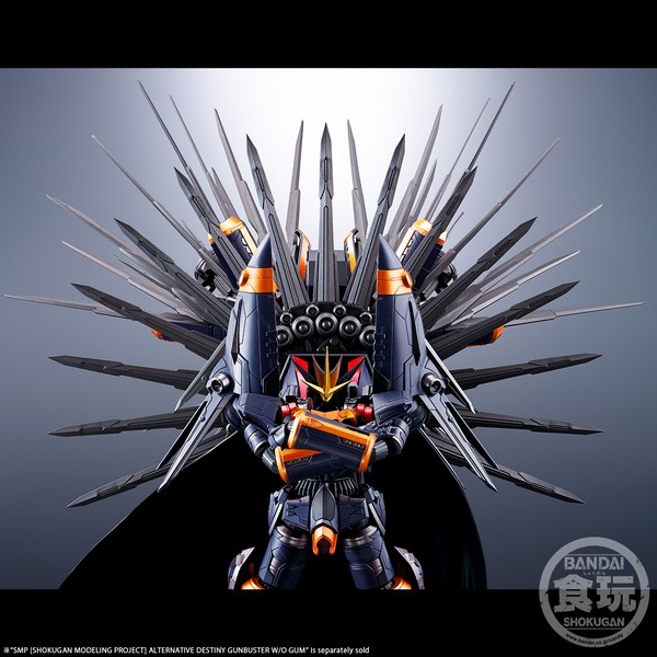 4549660700746 **เฉพาะพาส ไม่รวมหุ่น** p-bandai smp alternative destiny super lightning kick set