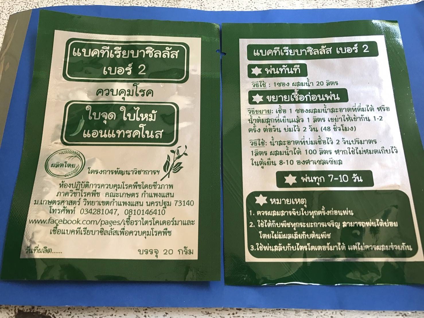 แบคทีเรียบาซีลลัส เบอร์ 2 ควบคุมโรคใบจุด ใบไหม้ แอนแทรคโนส จาก ม.เกษตร กำแพงแสน