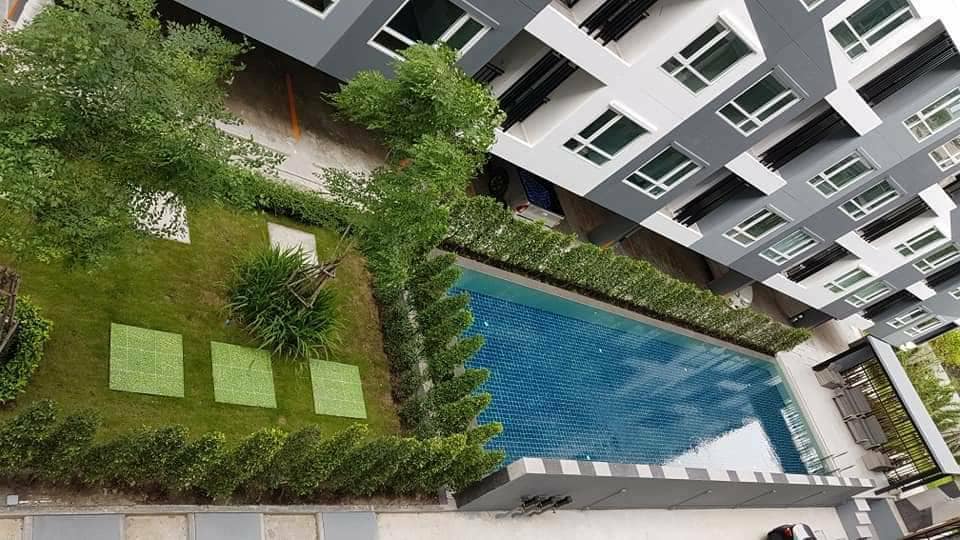 ปล่อยเช่าคอนโด Regent Home Sukhumvit 81 (รีเจ้นท์ โฮม สุขุมวิท 81) - มีเครื่องซักผ้าเฟอร์เครื่องใช้ไฟฟ้าครบครั้น - การเดินทาง: BTS อ่อนนุช