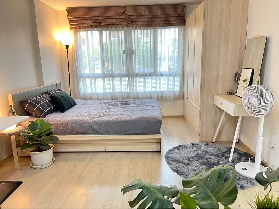 ให้เช่าห้องแบบ Studio 1ห้องน้ำ โซนพื้นที่ BTS ปุณณวิถี สุขุมวิท64 คอนโด Elio Del Ray (เอลิโอ เดล เรย์) Low Rise ขนาดห้อง 26 ตรม. ชั้น 2 ตึก A