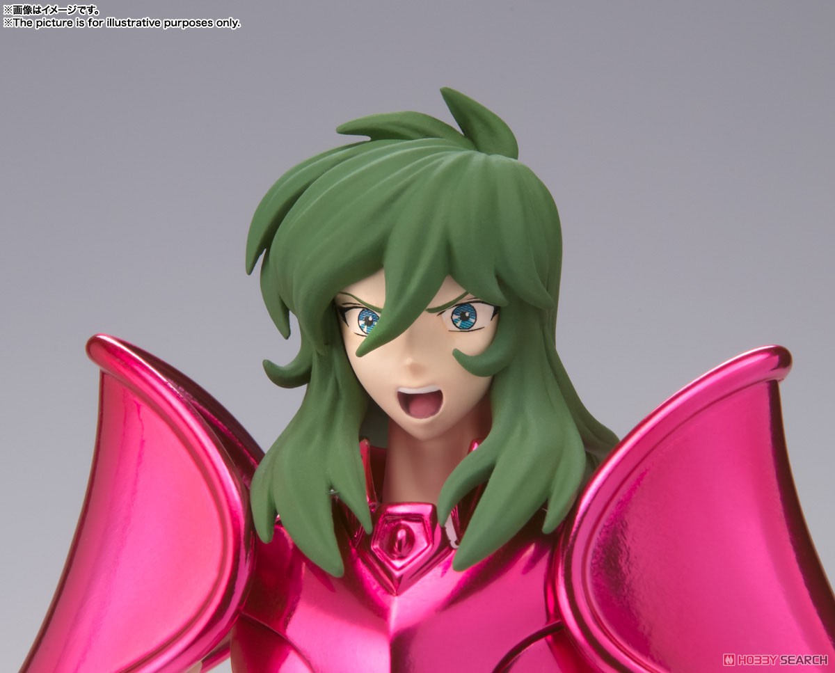 JP4573102629807 JP Saint Cloth Myth EX Andromeda Shun (New Bronze Cloth)
