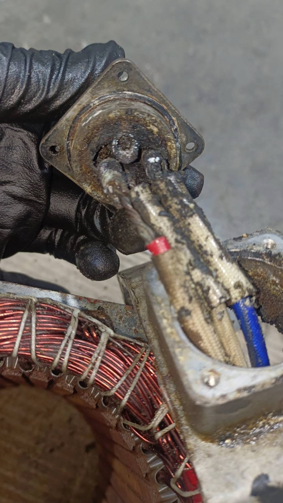 ซ่อม FANUC SERVO MOTOR