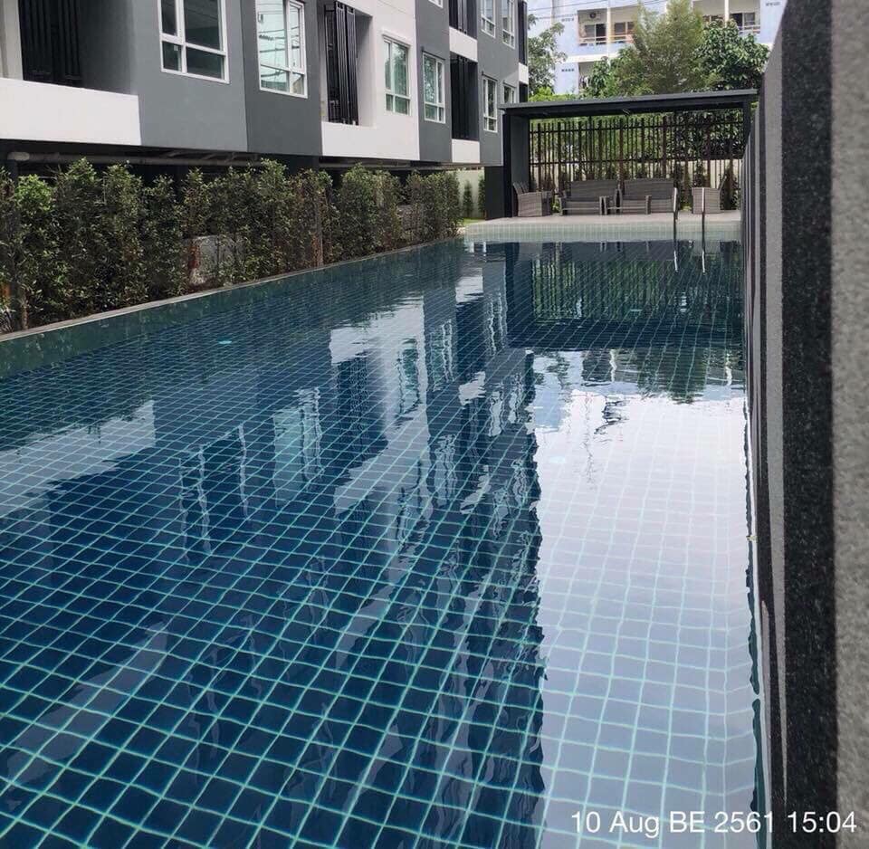 ปล่อยเช่าคอนโด Regent Home Sukhumvit 81 (รีเจ้นท์ โฮม สุขุมวิท 81) - 1ห้องนอน 1ห้องน้ำ 1ห้องนั่งเล่น 1ห้องครัว - ใกล้ BTS อ่อนนุช - ขนาดห้อง 28 ตรม. ชั้น 5 วิวสระ