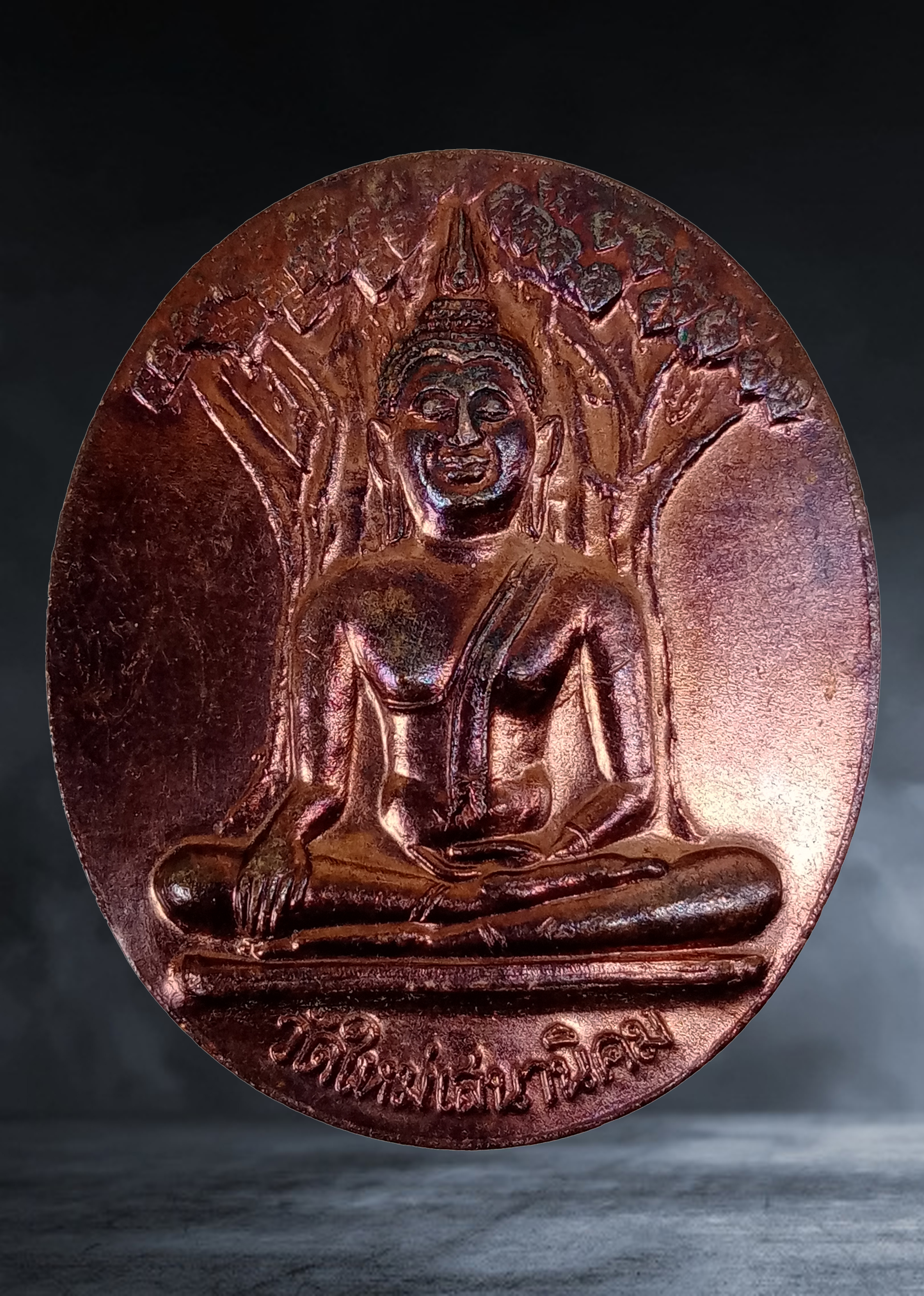 เหรียญ พระพุทธ หลวงปู่หลอด วัดใหม่เสนานิคม จ.กรุงเทพ งานสมโภชน์ปโมทิโตเจดีย์ ปี ๒๕๔๖