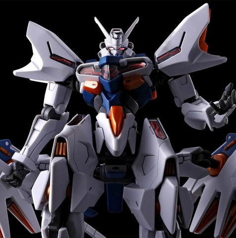 Bandai p-bandai 4573102688781 hgwm gundam Naion