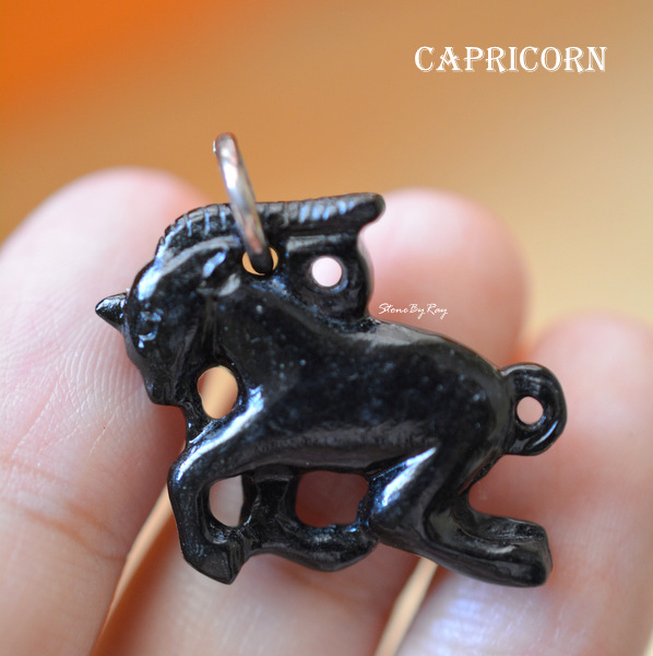 สร้อยคอเงินจี้หินแกะสลักราศีมังกร (Capricorn)