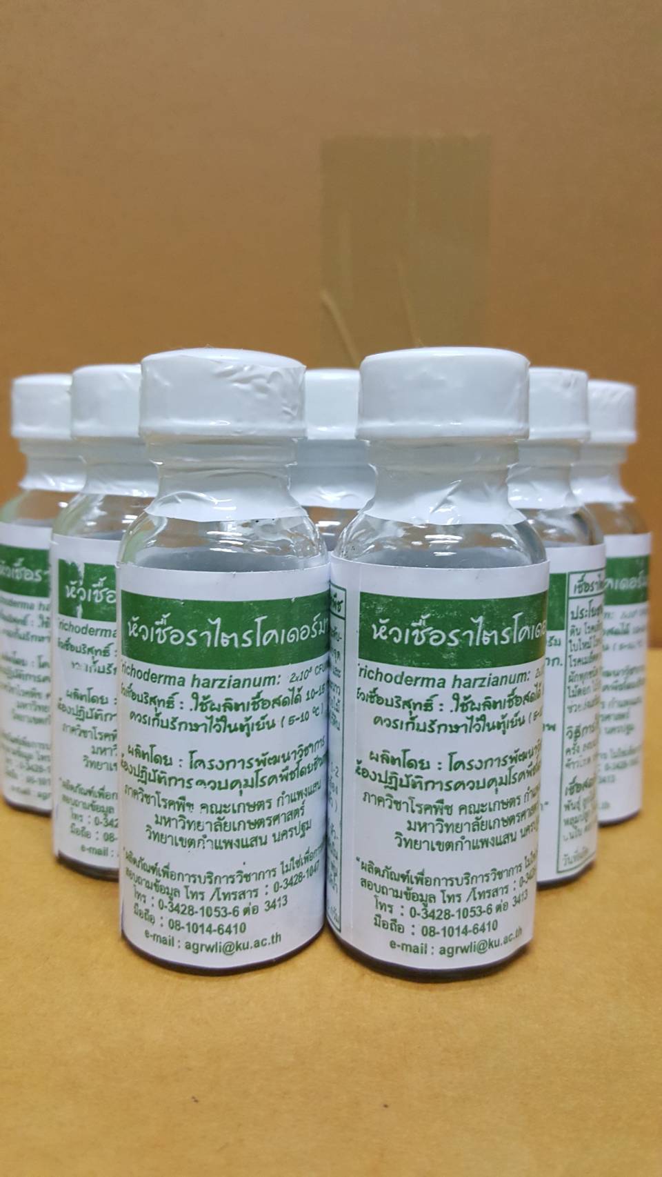 หัวเชื้อราไตรโคเดอร์มา จาก ม.เกษตร กำแพงแสน