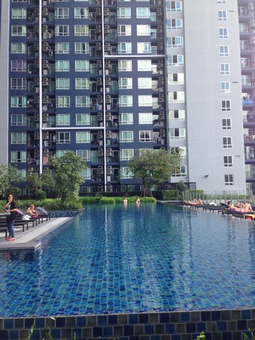 ให้เช่า The Base Sukhumvit 77 (เดอะ เบส สุขุมวิท 77) ชั้น35 เฟอร์ครบ