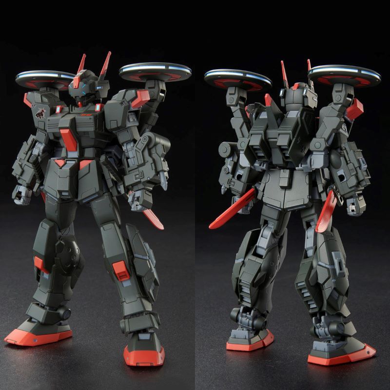 4573102621948 (p-bandai) hg black rider