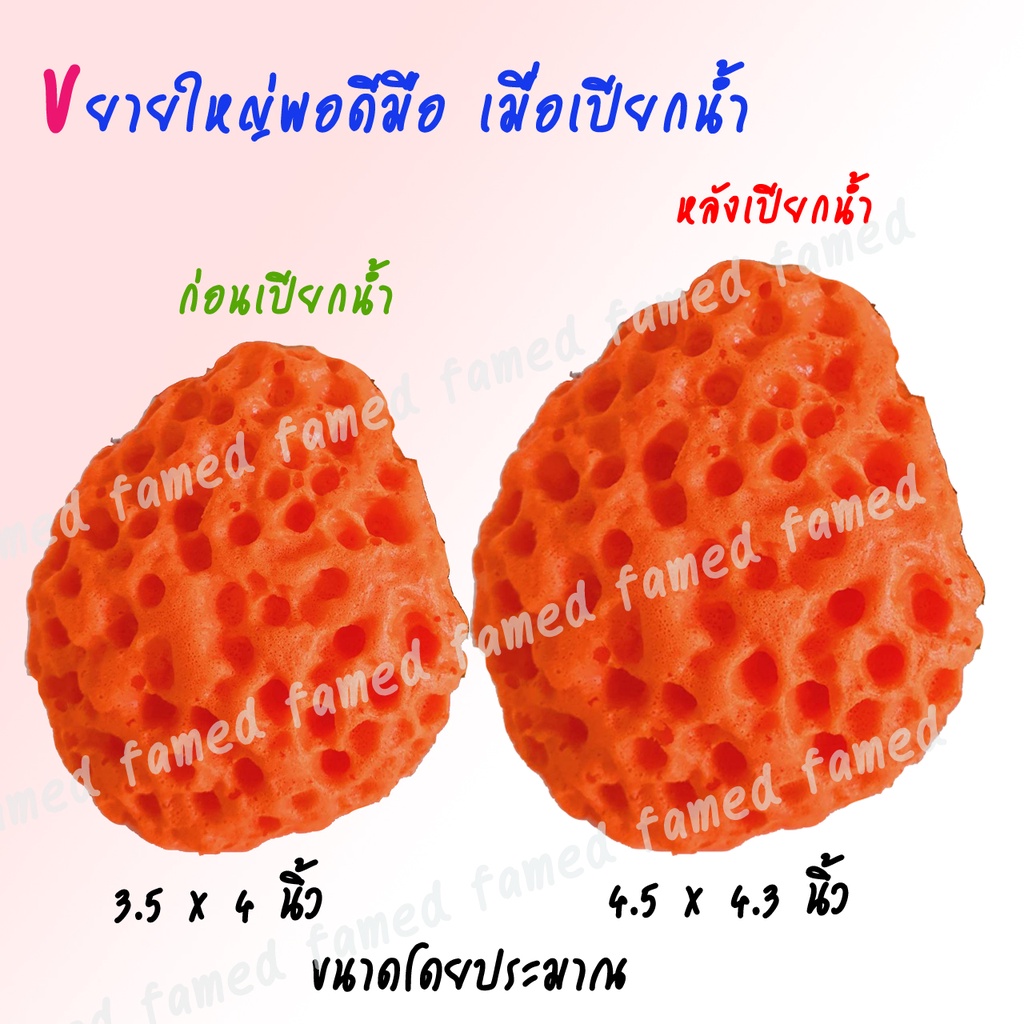 ฟองน้ำเด็กนุ่มนุ่ม ออร์แกนิค ขยายใหญ่พอดีมือเมื่อเปียกน้ำ