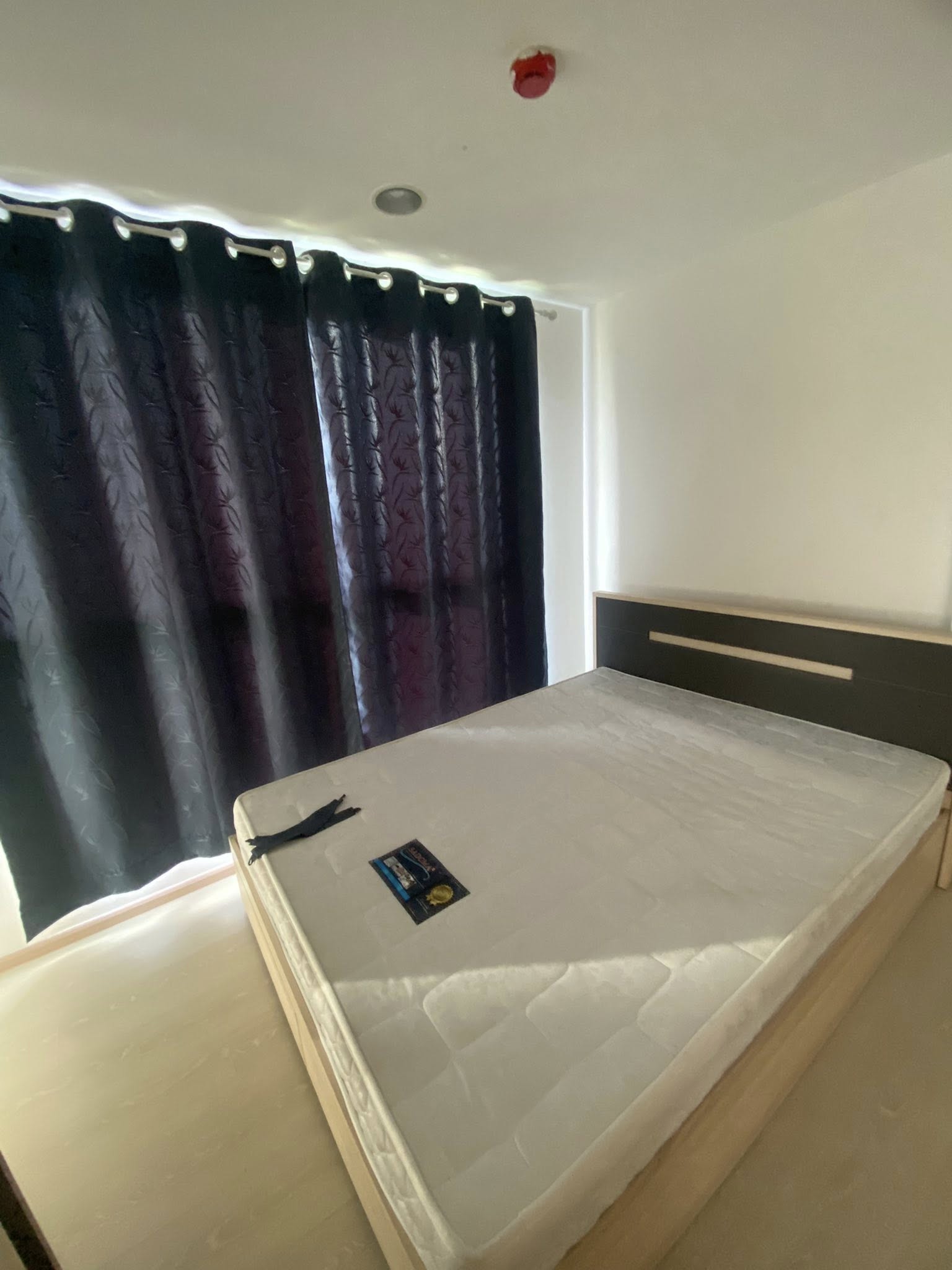 ให้เช่าคอนโด The Excel Khukhot (ดิ เอ็กเซล คูคต) โซน รถไฟฟ้า BTS คูคต ห้องแบบ 1ห้องนอน / 1ห้องน้ำ ขนาดห้อง 25 ตรม. ชั้น 7 ตึก C