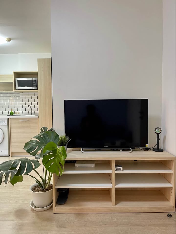 ให้เช่าห้องแบบ Studio 1ห้องน้ำ โซนพื้นที่ BTS ปุณณวิถี สุขุมวิท64 คอนโด Elio Del Ray (เอลิโอ เดล เรย์) Low Rise ขนาดห้อง 26 ตรม. ชั้น 2 ตึก A