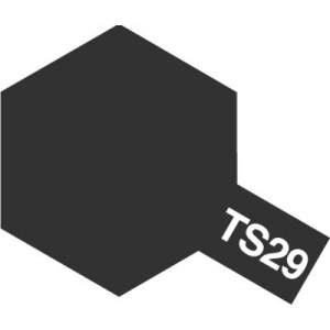 4950344072651 TS-29 semi gloss black (กึ่งเงากึ่งด้าน)