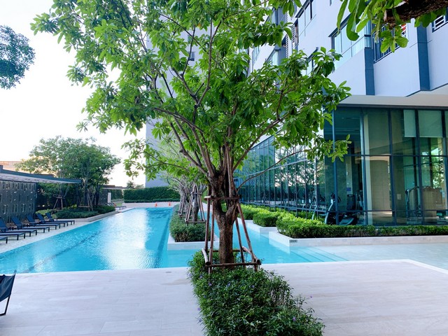 ให้เช่า Ideo Sukhumvit 93 (ไอดีโอ สุขุมวิท 93) 2ห้องนอนตึกAห้องสวย