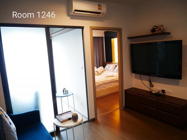 ให้เช่า Ideo Sukhumvit 93 1ห้องนอน วิวเมือง ทิศใต้ มีลมเข้าทั้งวัน