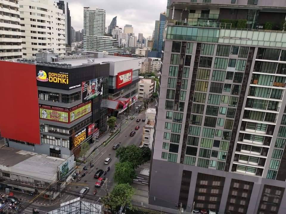 คนรักสัตว์มาทางนี้เลี้ยงได้ไม่ผิดกฎ M Thonglor 10 (เอ็ม ทองหล่อ 10) ให้เช่า