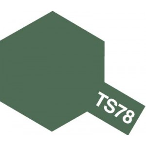 TS-78 field gray2