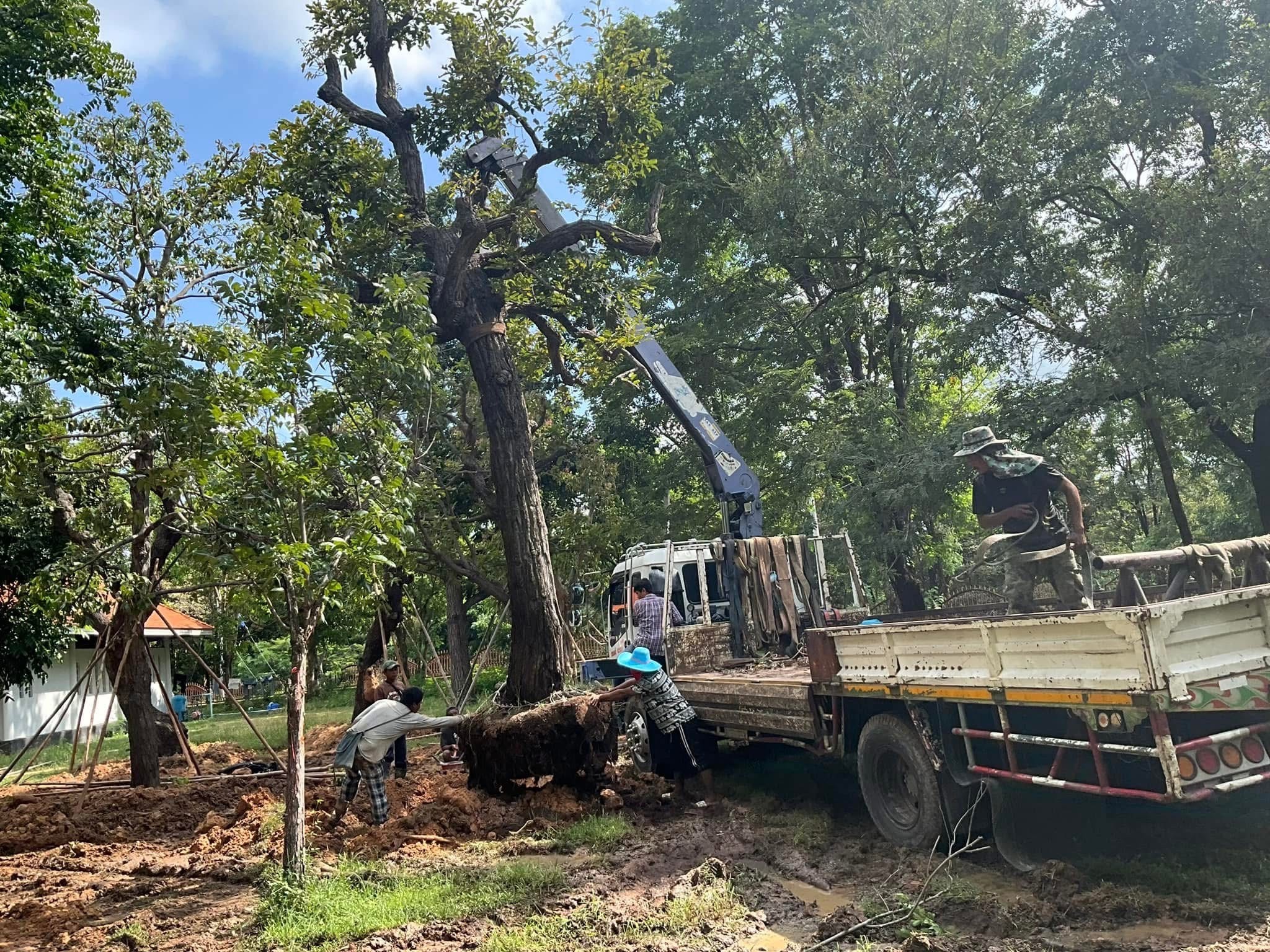 งานออกแบบ จัดสร้างสวนพุทธศิลป์ อุทยานพระนาดูนทะลุมิติ จ.มหาสารคาม สอบถาม โทร 061-6592998