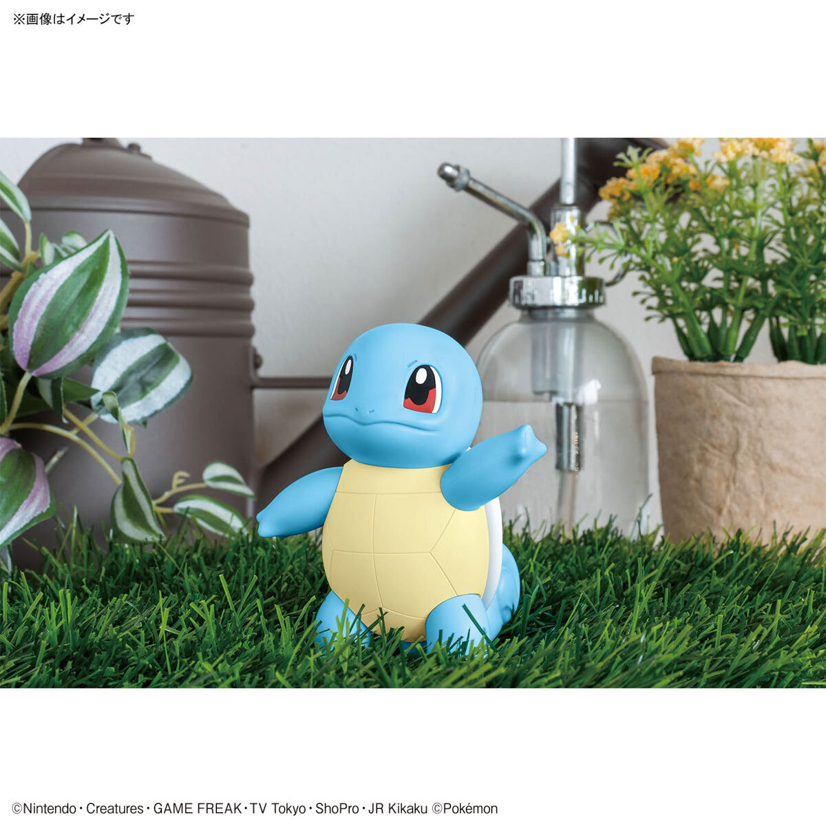 Bandai 4573102662910 Pokémon PLAMO COLLECTION QUICK!! 17 Squirtle