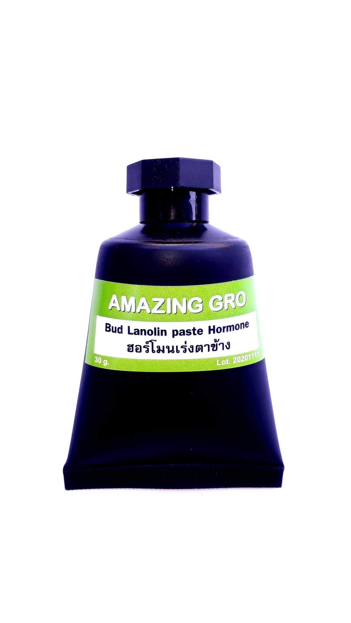 Budpaste Hormone เจลป้ายตาเร่งยอด 30กรัม