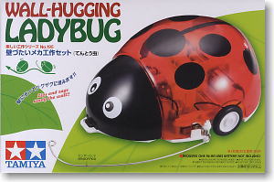 มี1 รอยืนยันก่อนโอน 70195 wall-hugging ladybug