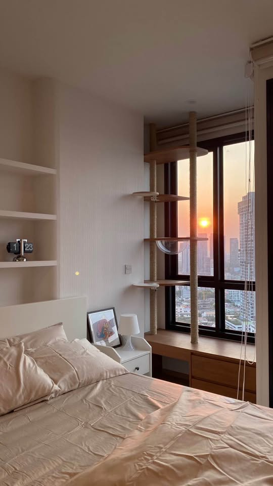 High Rise โซนพื้นที่ MRT ลาดพร้าว เลี้ยงสัตว์ได้ให้เช่าห้องแบบ 1ห้องนอน 1ห้องน้ำ คอนโด Maru Ladprao 15 (Maru ลาดพร้าว 15) ขนาดห้อง 30 ตรม. ชั้น 2X